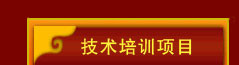 技術培訓項目